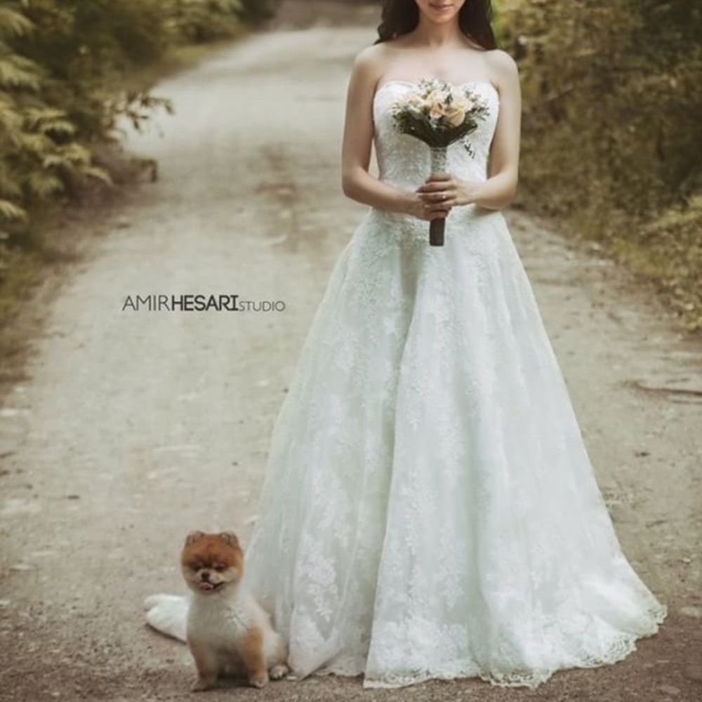 David’s Bridal Allover Beaded Ball Gown Wedding Dress
STYLE# WG3841 - Picture 2 of 7